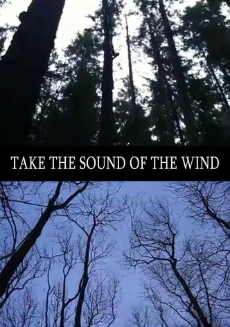 Take the Sound of the Wind