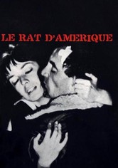 Le Rat d'Amérique
