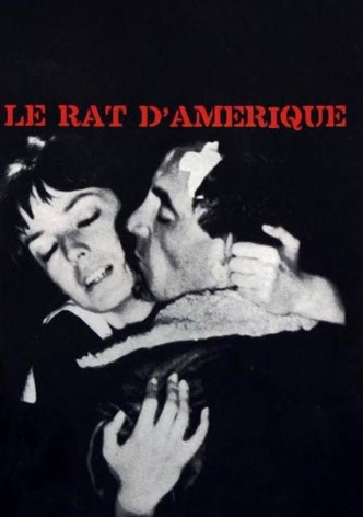 Le Rat d'Amérique