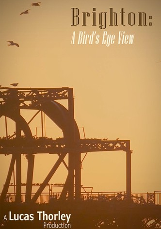 Brighton: A Bird's Eye View