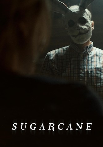 Sugarcane
