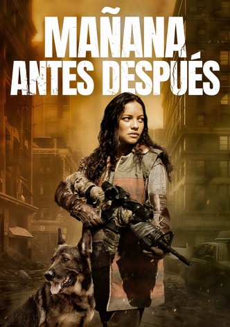 Mañana Antes Después