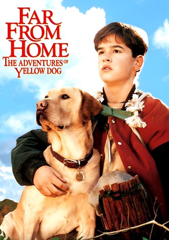 Far from Home: The Adventures of Yellow Dog
