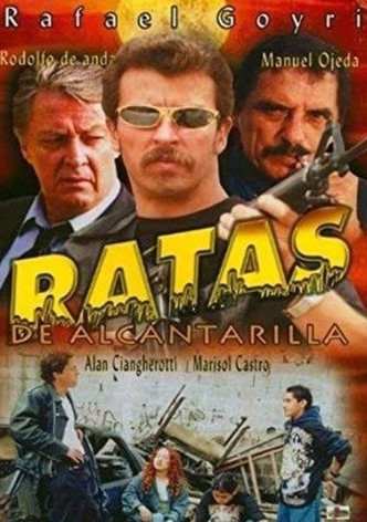 Ratas de Alcantarilla
