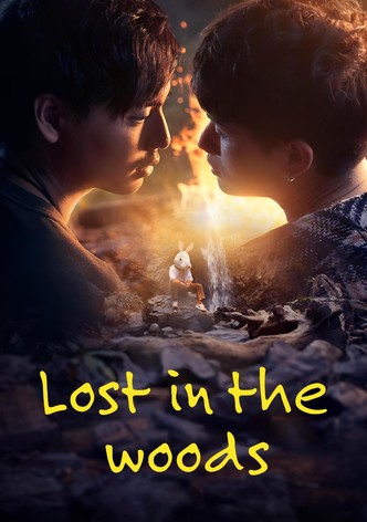 Lost in the Woods