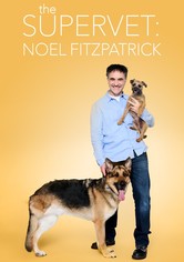The Supervet: Noel Fitzpatrick