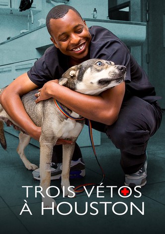 Trois vétos à Houston