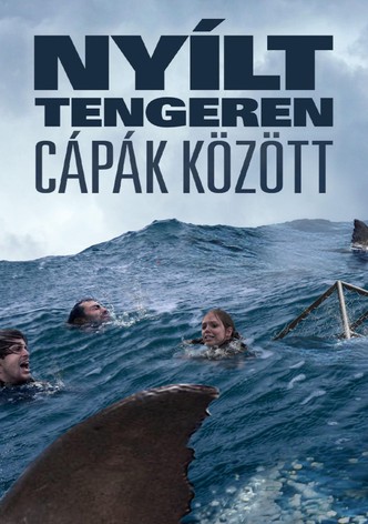 Nyílt tengeren 3: Cápák között