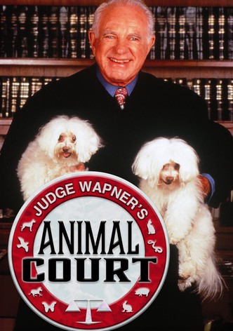 Judge Wapner's Animal Court