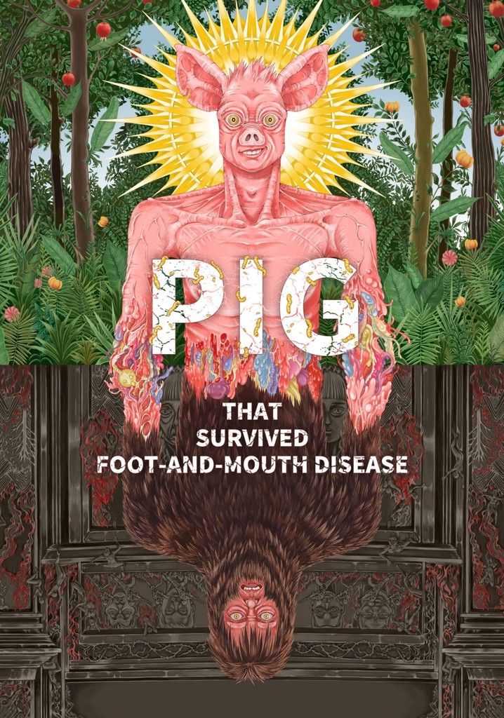 Pig that Survived Foot-and-Mouth Disease