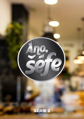 Ano, šéfe! - Sezóna II