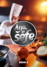 Ano, šéfe! - Sezóna V