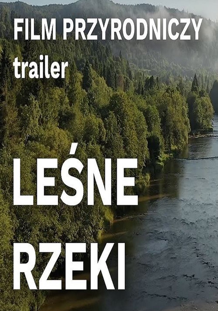 Leśne rzeki