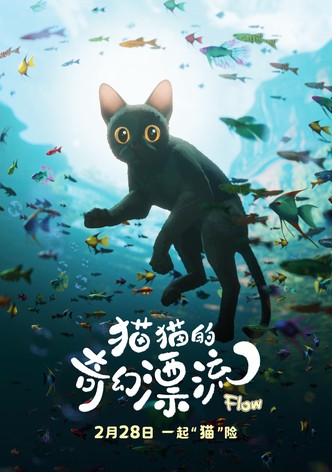 貓貓的奇幻漂流