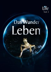 Life - Das Wunder Leben