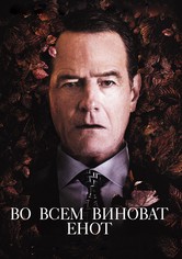 Во всём виноват енот