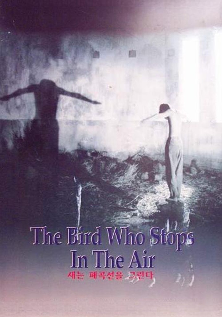 The Bird Who Stops in the Air