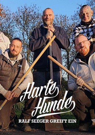 Harte Hunde – Ralf Seeger greift ein