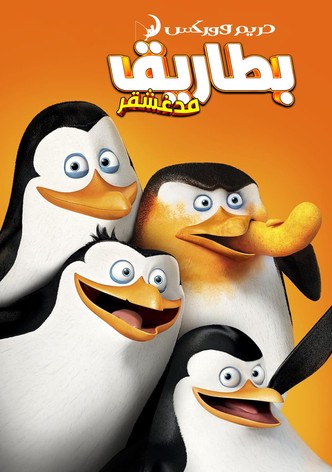 مدغشقر∶ بطاريق مدغشقر