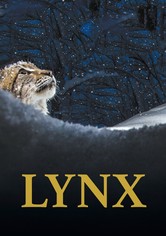 Lynx