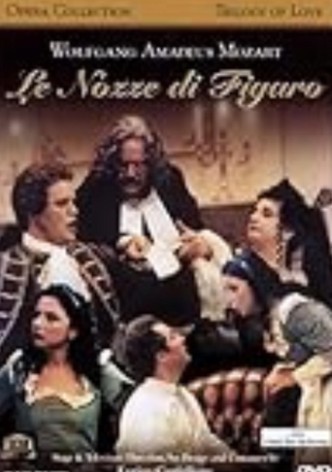 The Weddings of Figaro
