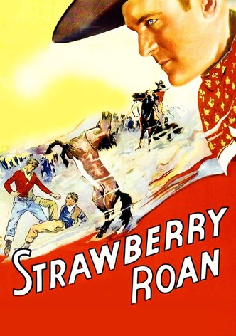 Strawberry Roan