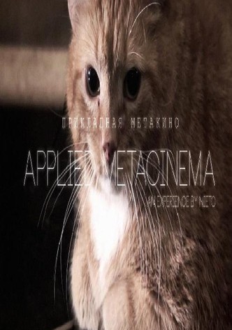 Applied metacinema