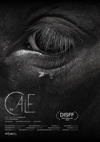 The Calf