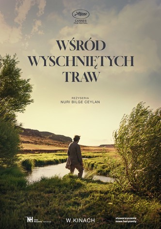 Wśród wyschniętych traw