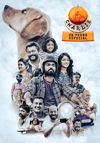 Charlie: Un Perro Especial
