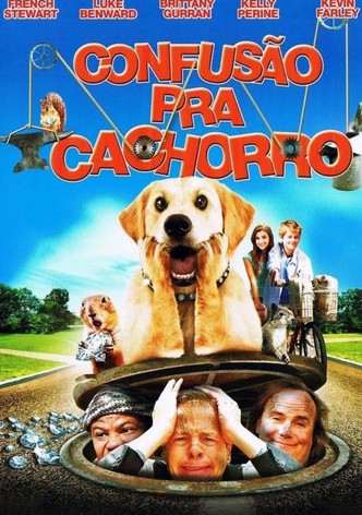 Travessuras de Cachorro