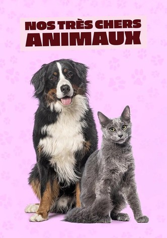 Nos très chers animaux