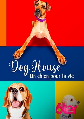 Dog House : Un chien pour la vie