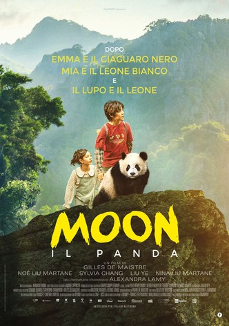Moon - Il Panda