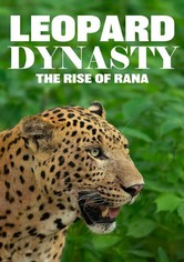 Leopard Dynasty-The Rise of Rana