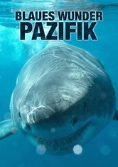 Terra X - Blaues Wunder Pazifik