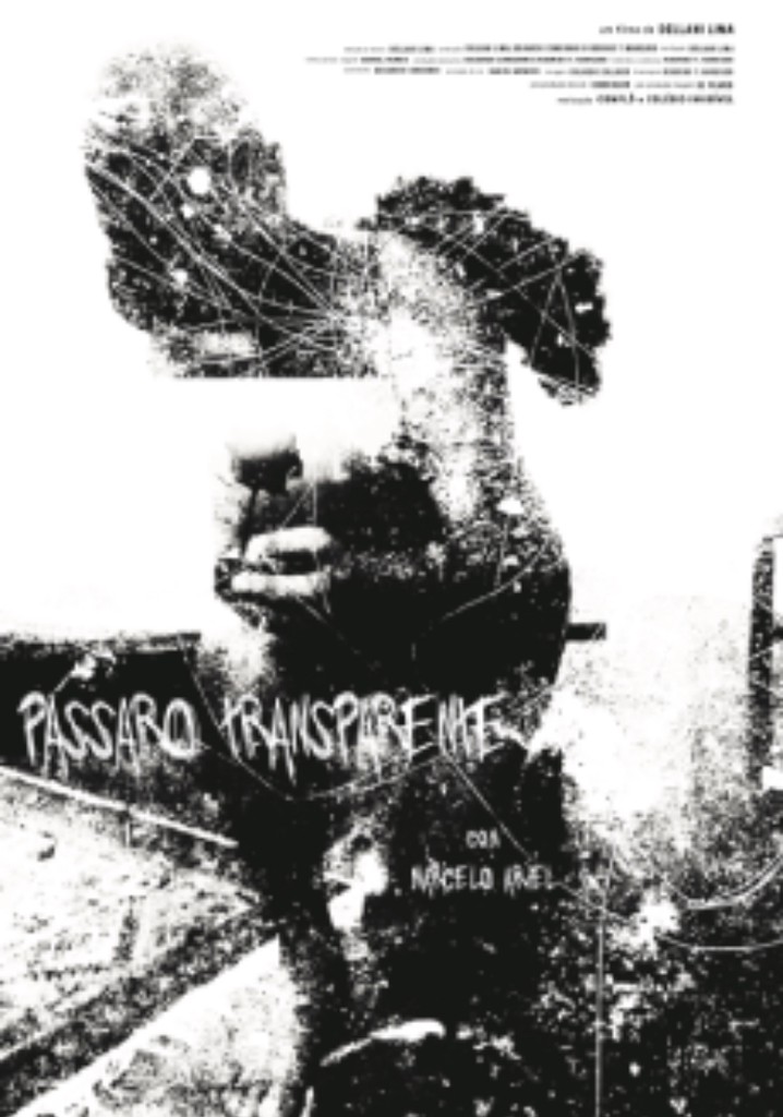 Pássaro Transparente