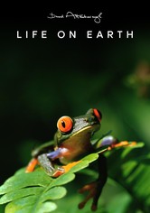 Life on Earth