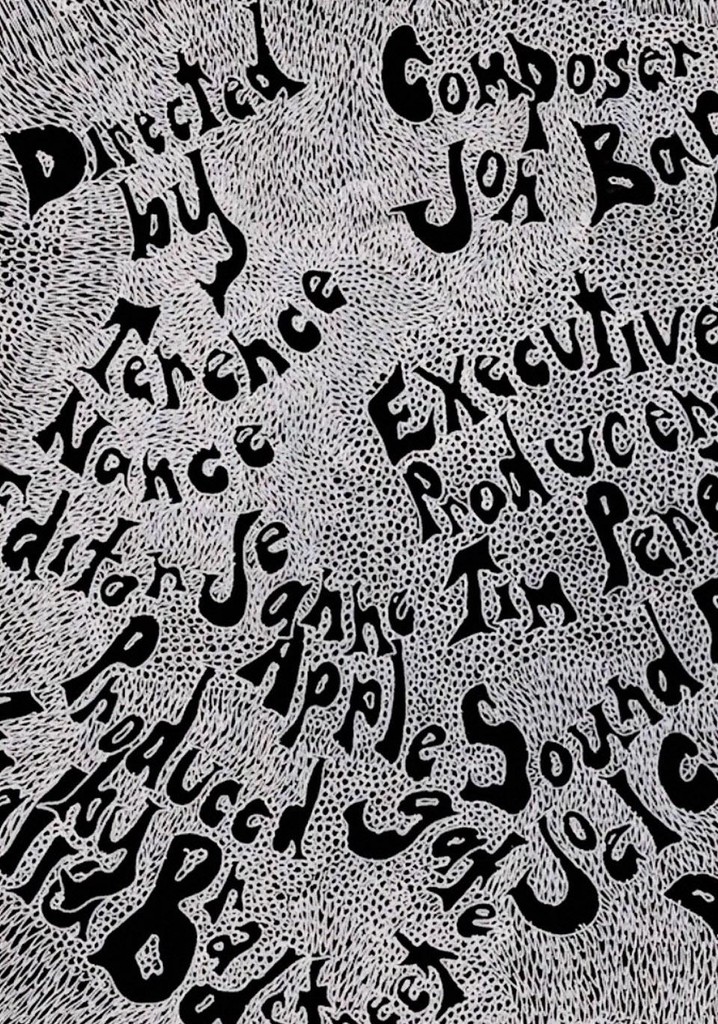 Jimi Could Have Fallen from the Sky