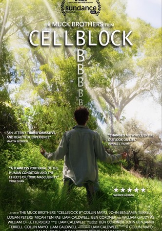 CellBlock B