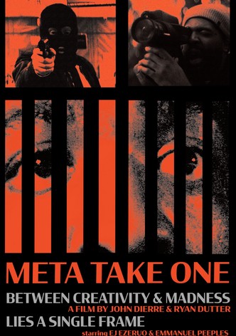 Meta Take One