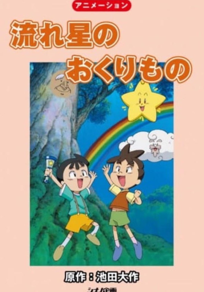 Gift From A Shooting Star