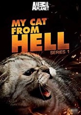 Der Katzenflüsterer - Staffel 1