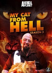 El encantador de gatos