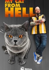My Cat from Hell - My Cat from Hell