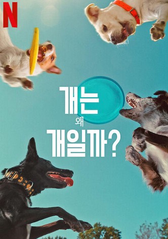 개는 왜 개일까?