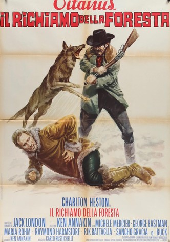 Il richiamo della foresta