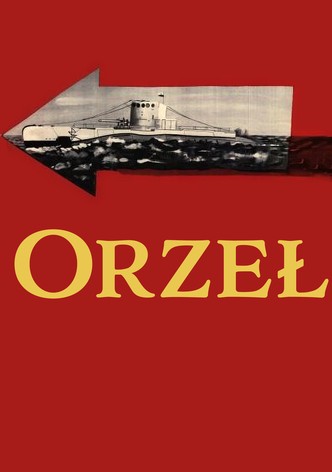 Orzeł