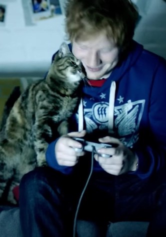 Ed Sheeran: Drunk