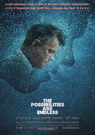 The Possibilities are Endless (Edwyn Collins)